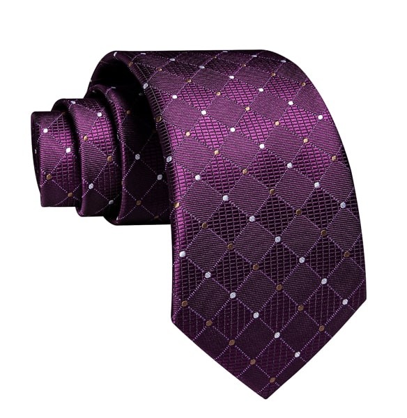 Aspinwall Purple Polka Dot Silk Tie for Men – Designer & Elegant